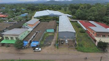 ขายหรือให้เช่าที่ดินพร้อม โรงงาน / โกดังสินค้า ใน อ.แม่สอด จ.ตาก